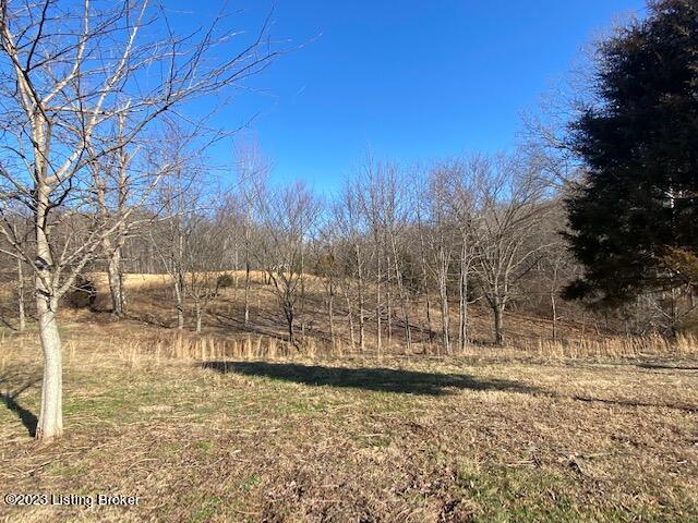 1856 Barnes Road Bardstown, KY 40004 - Photo 41 of 46 37
