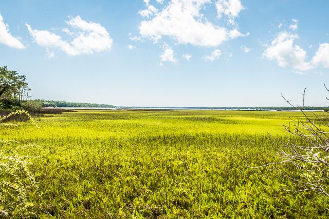 Lot A Indian Pass Road Port St. Joe, FL 32456 - Photo 18 of 24