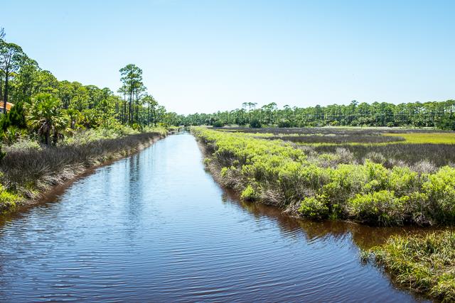 Lot A Indian Pass Road Port St. Joe, FL 32456 - Photo 21 of 24