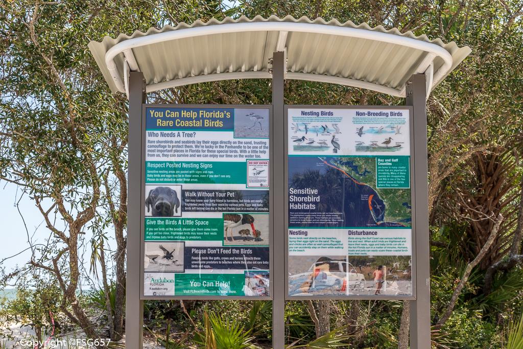 Lot A Indian Pass Road Port St. Joe, FL 32456 - Photo 8 of 24