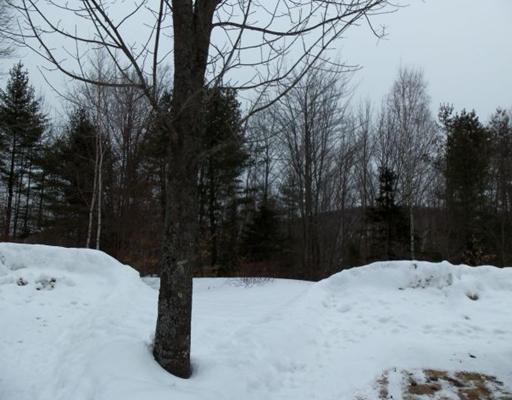 155 West Mills Road Industry, ME 04938 - Photo 8 of 15 Land/Lot.