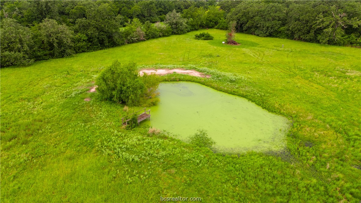 8166 Riley Road Bryan, TX 77808 - Photo 13 of 46 a view of a swimming pool with a yard