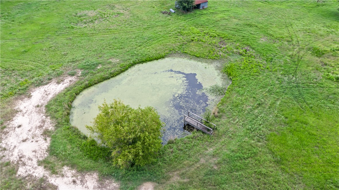 8166 Riley Road Bryan, TX 77808 - Photo 46 of 46 a view of a garden with a fountain