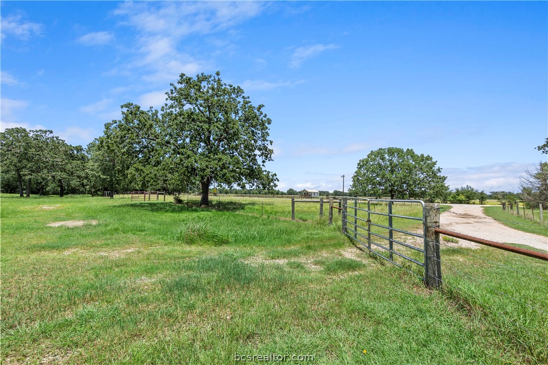 8166 Riley Road Bryan, TX 77808 - Photo 8 of 46 a view of a park with large trees