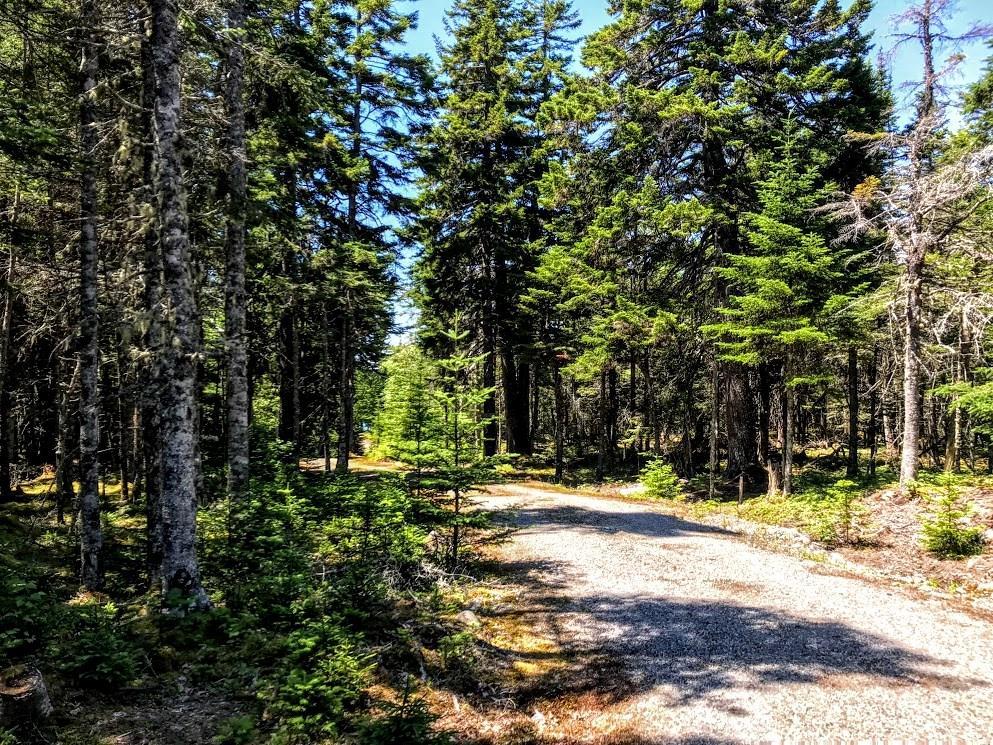 79 South Ocean Road Machiasport, ME 04655 - Photo 6 of 18 Photo