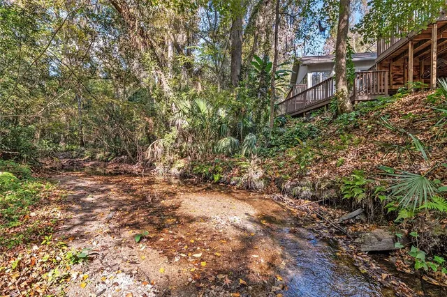 a view of a yard with trees