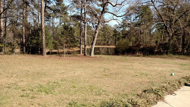 7808 Whittle Road Macon, GA 31220 - Photo 19 of 20 a view of outdoor space with trees