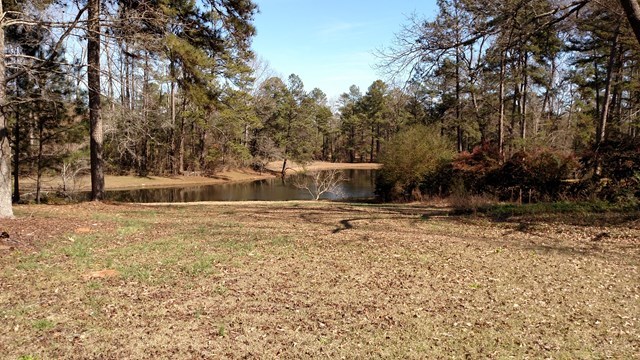7808 Whittle Road Macon, GA 31220 - Photo 20 of 20 a view of a yard with trees