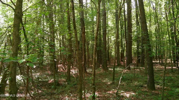 $93,000 | Pleasant Hills Road, Gattman, MS 38844