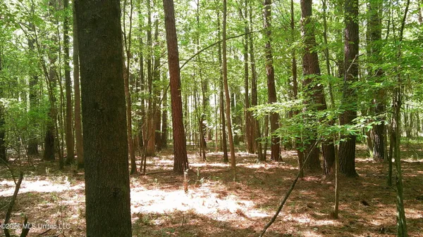 $93,000 | Pleasant Hills Road, Gattman, MS 38844