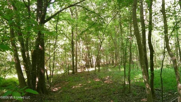 $93,000 | Pleasant Hills Road, Gattman, MS 38844