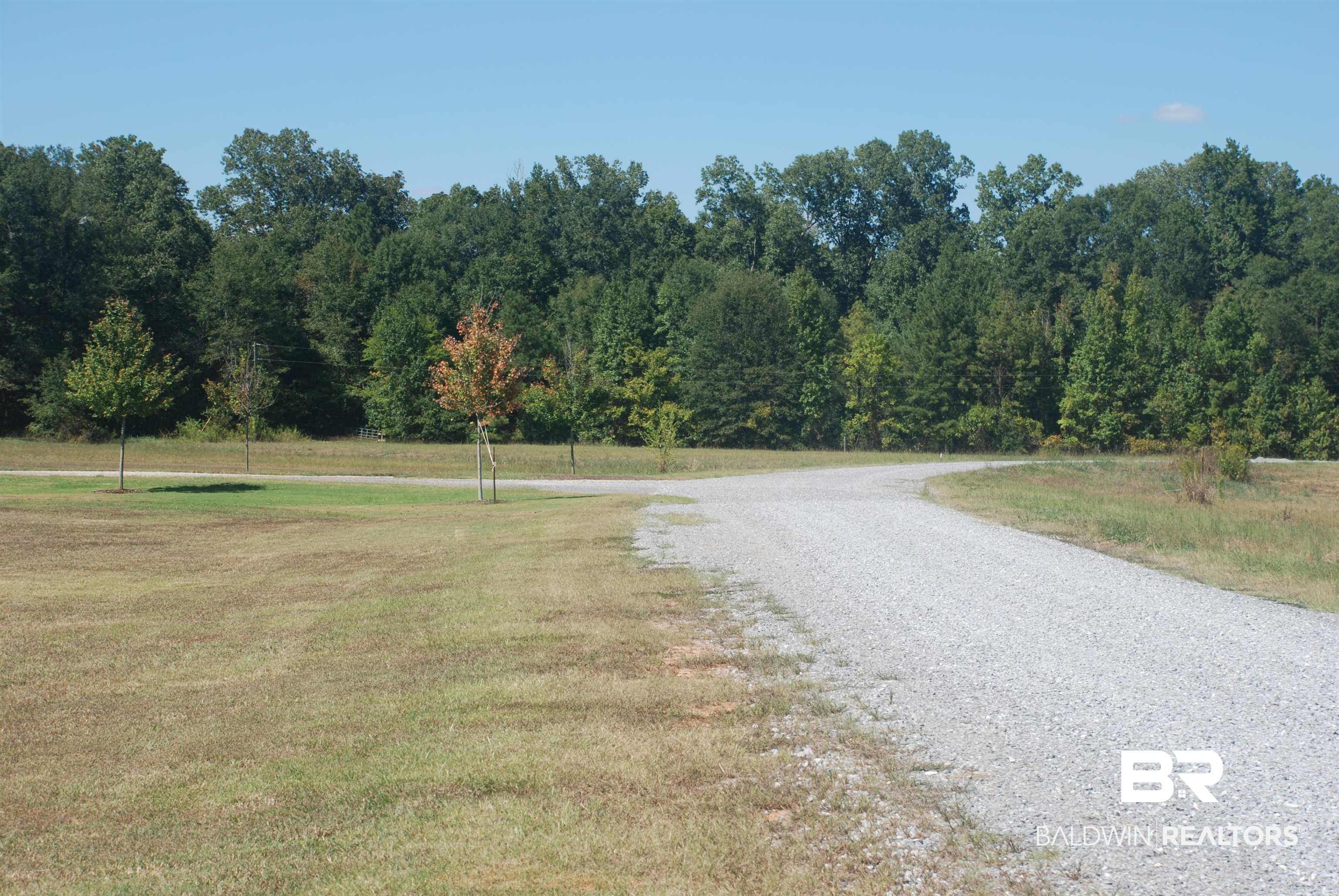 0 Jimmy Phillips Road Greensboro, AL 36744 - Photo 5 of 16
