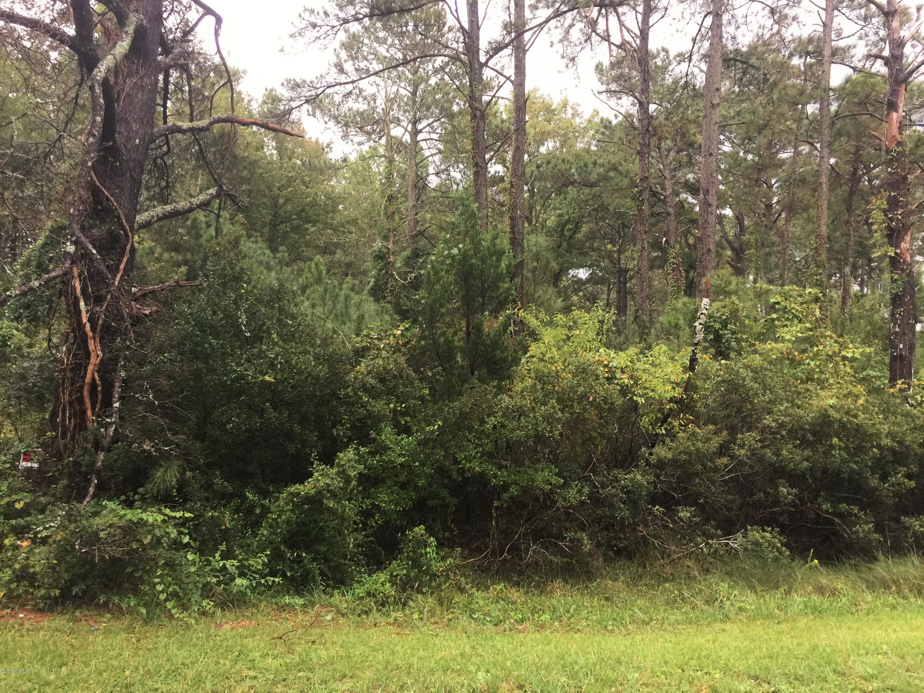 875 Crow Hill Road Beaufort, NC 28516 - Photo 1 of 3 IMG_1973