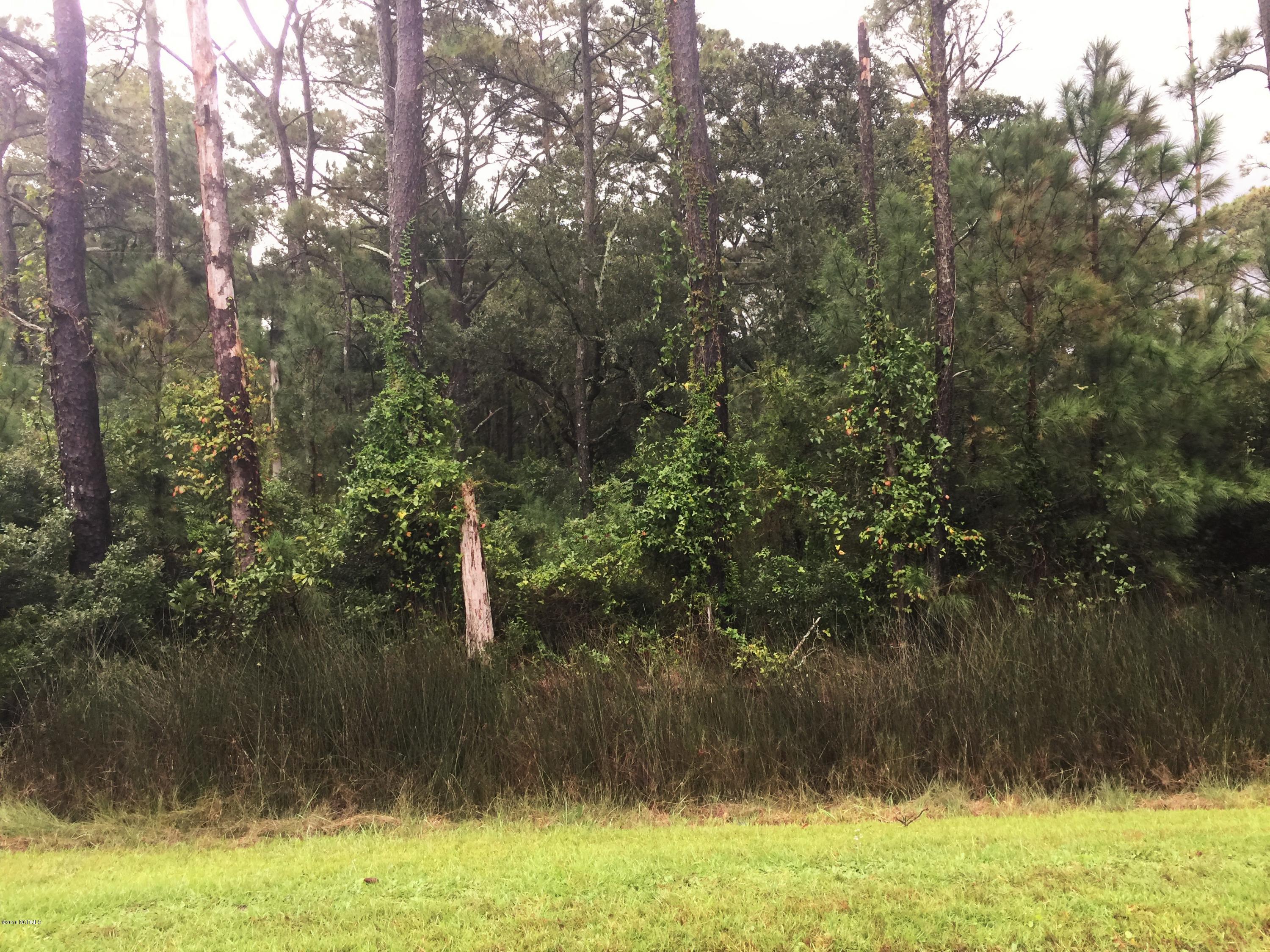 875 Crow Hill Road Beaufort, NC 28516 - Photo 3 of 3 IMG_1975