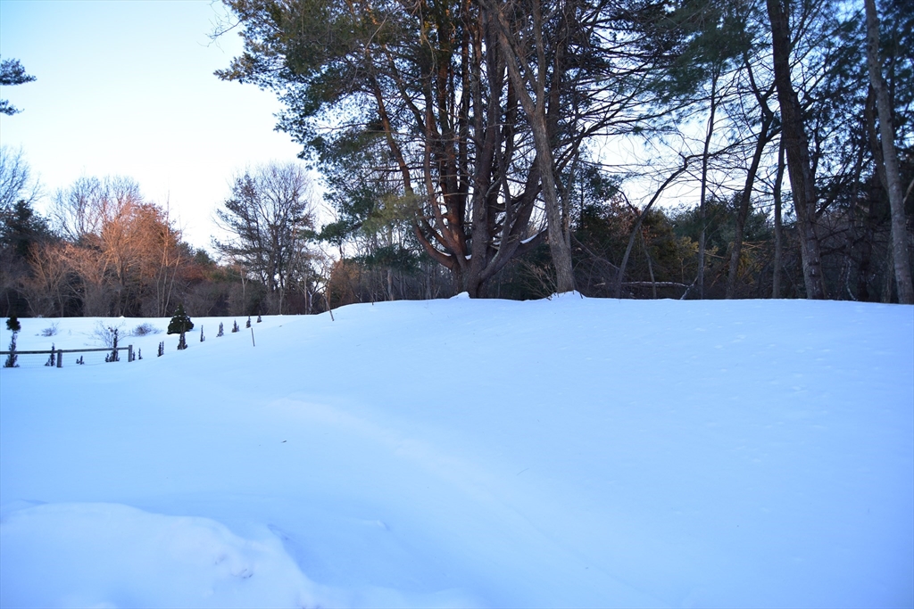 82 Paine Street Bellingham, MA 02019 - Photo 7 of 42