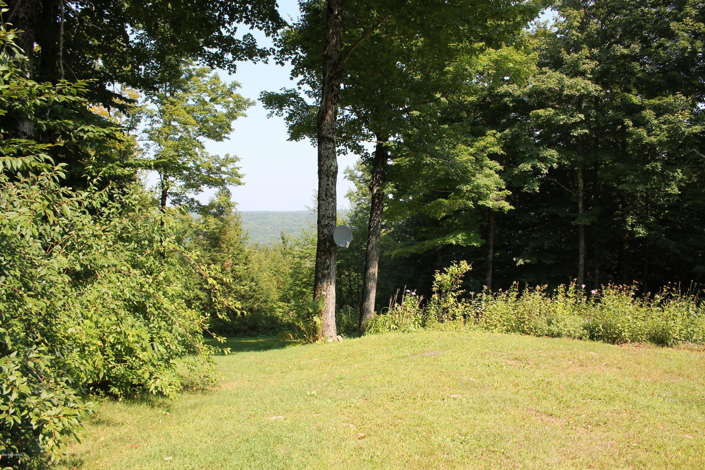1006 West Center Road Otis, MA 01253 - Photo 22 of 22 a view of a trees with a yard