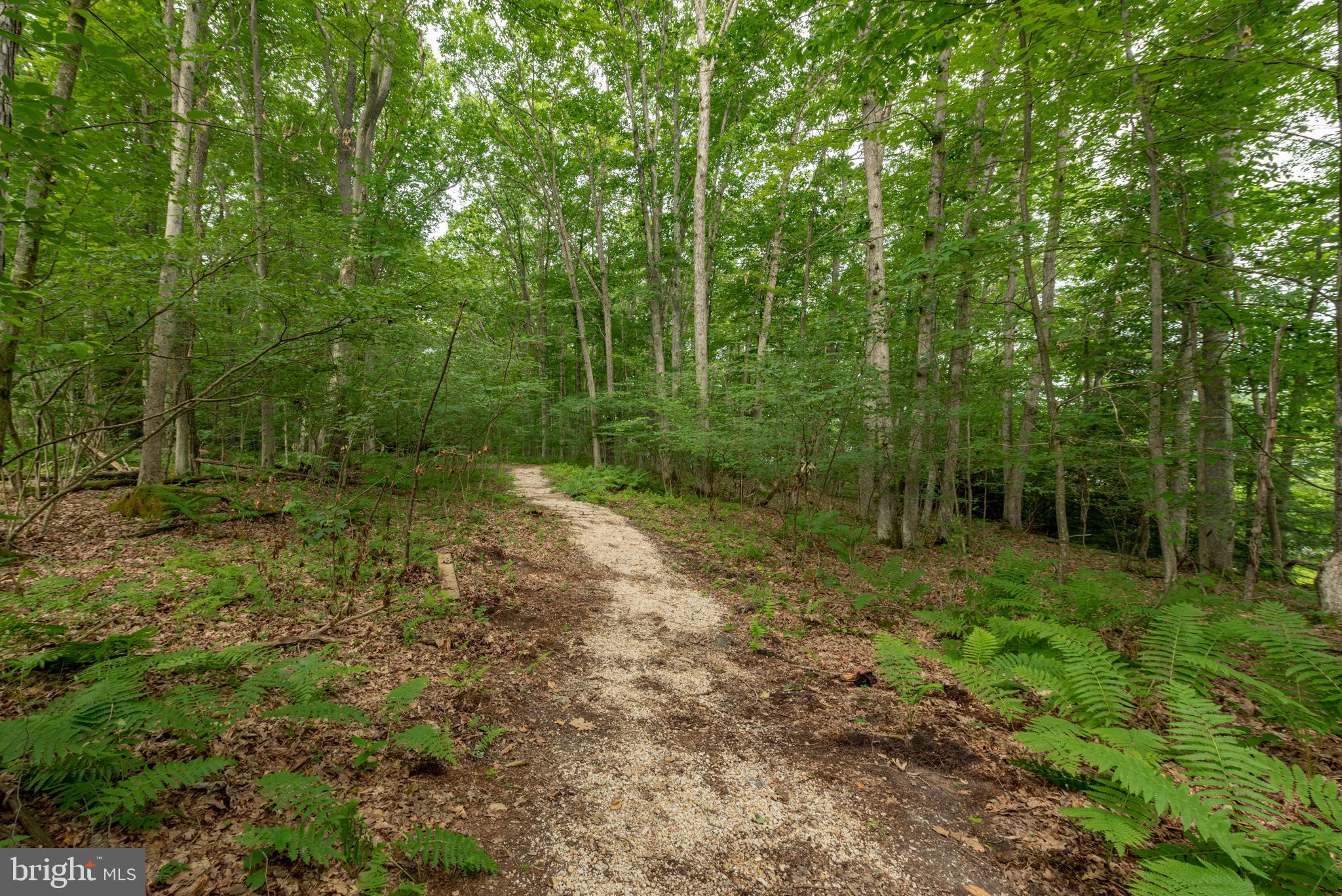 93 Skippers Point Road Oakland, MD 21550 - Photo 2 of 64 Gallery Image 2