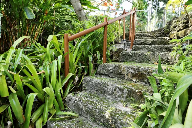 a view of a garden with plants