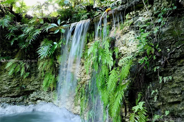 a close up of a plant in a garden