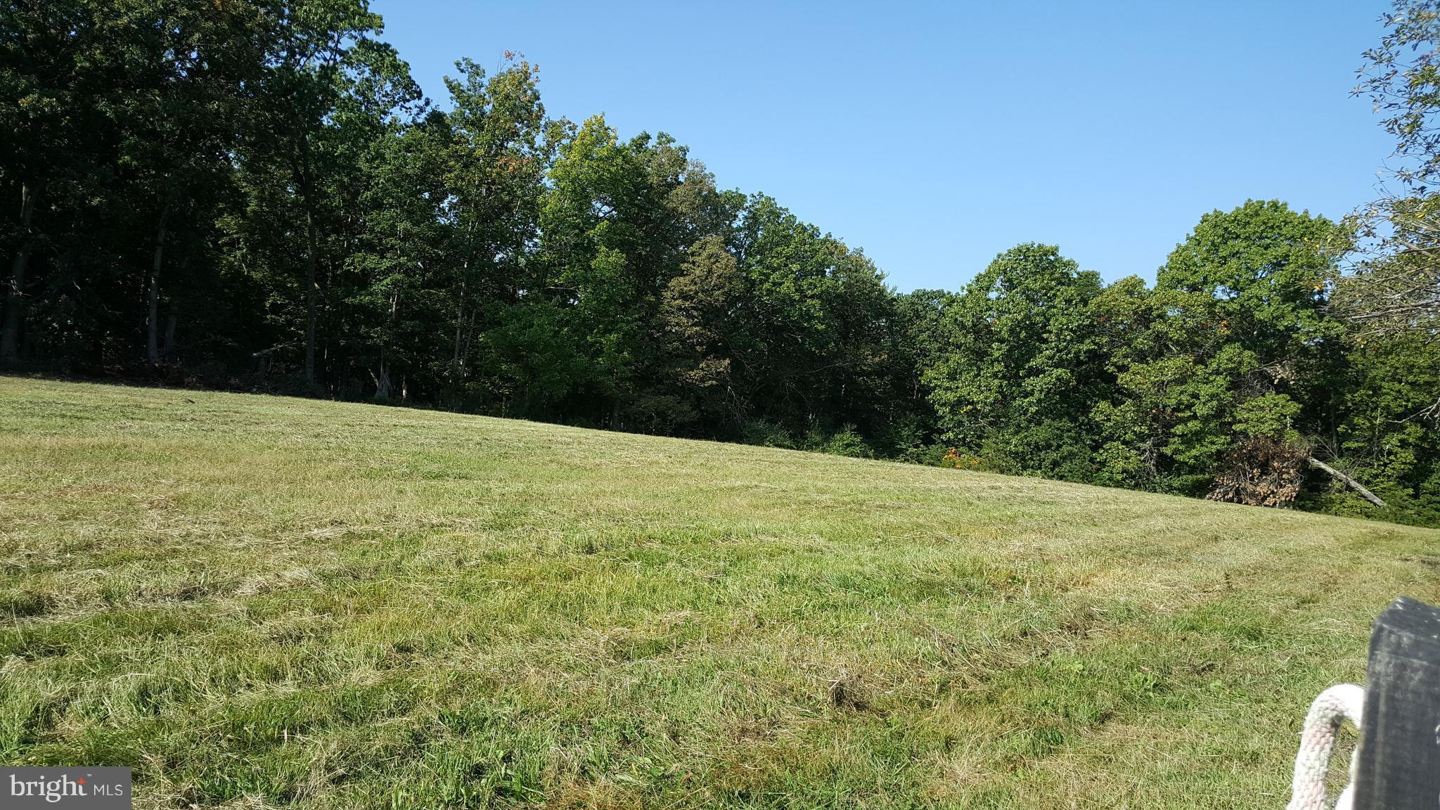3714 Reliance Road Middletown, VA 22645 - Photo 22 of 24 Open fields