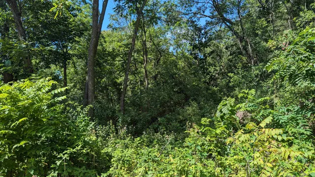 $25,000 | Undisclosed Address, Tomah, WI 54660