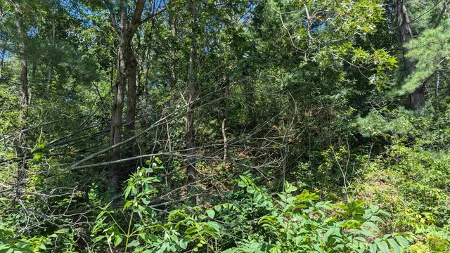 $25,000 | Undisclosed Address, Tomah, WI 54660