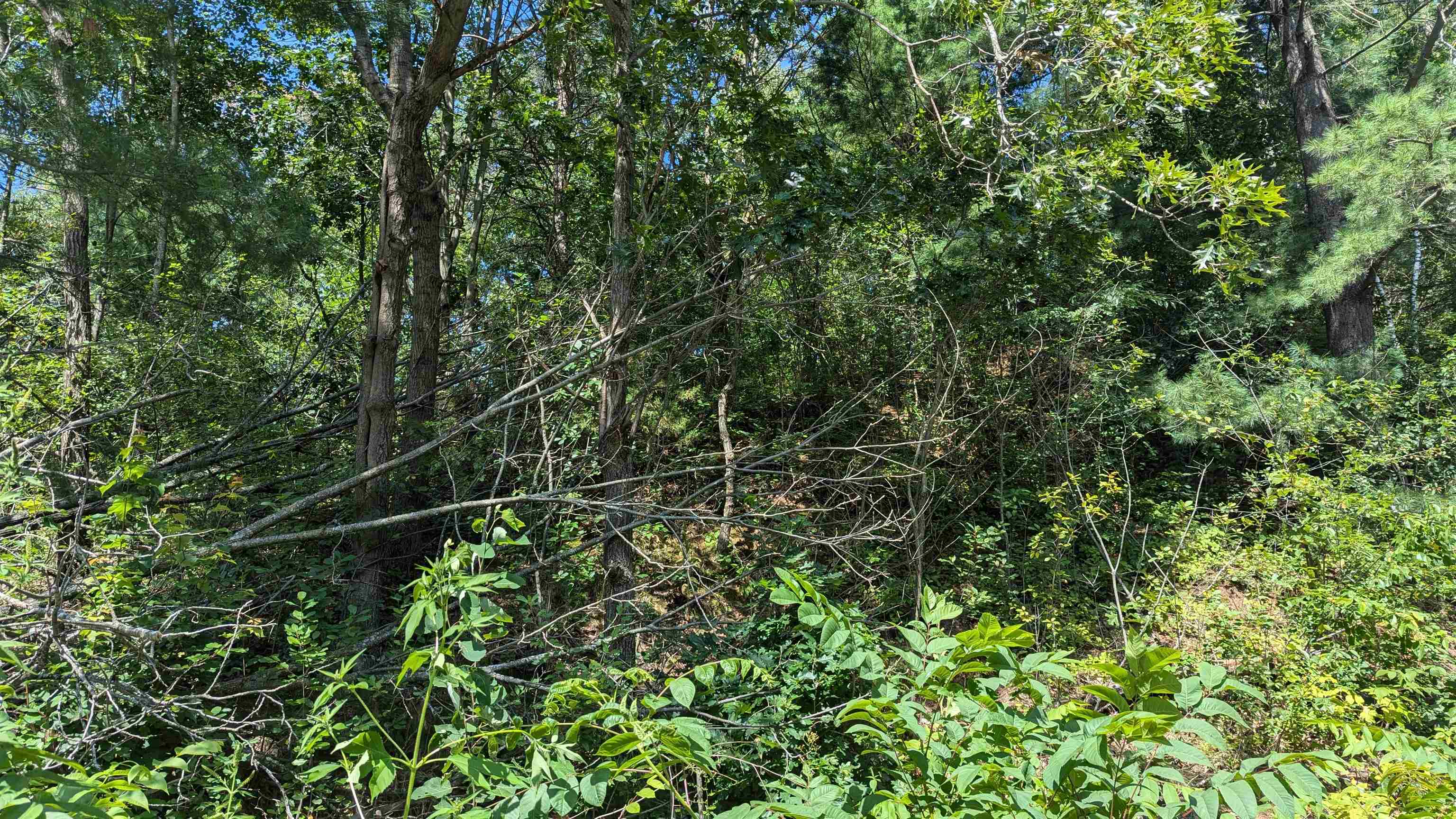 Undisclosed Address Tomah, WI 54660 - Photo 6 of 6