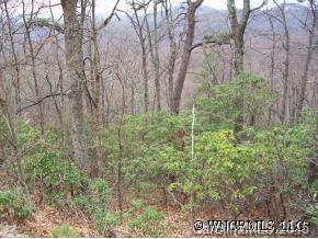 41 Pine Ridge Road, Unit 41 Hendersonville, NC 28792 - Photo 3 of 4 Gallery Image 3