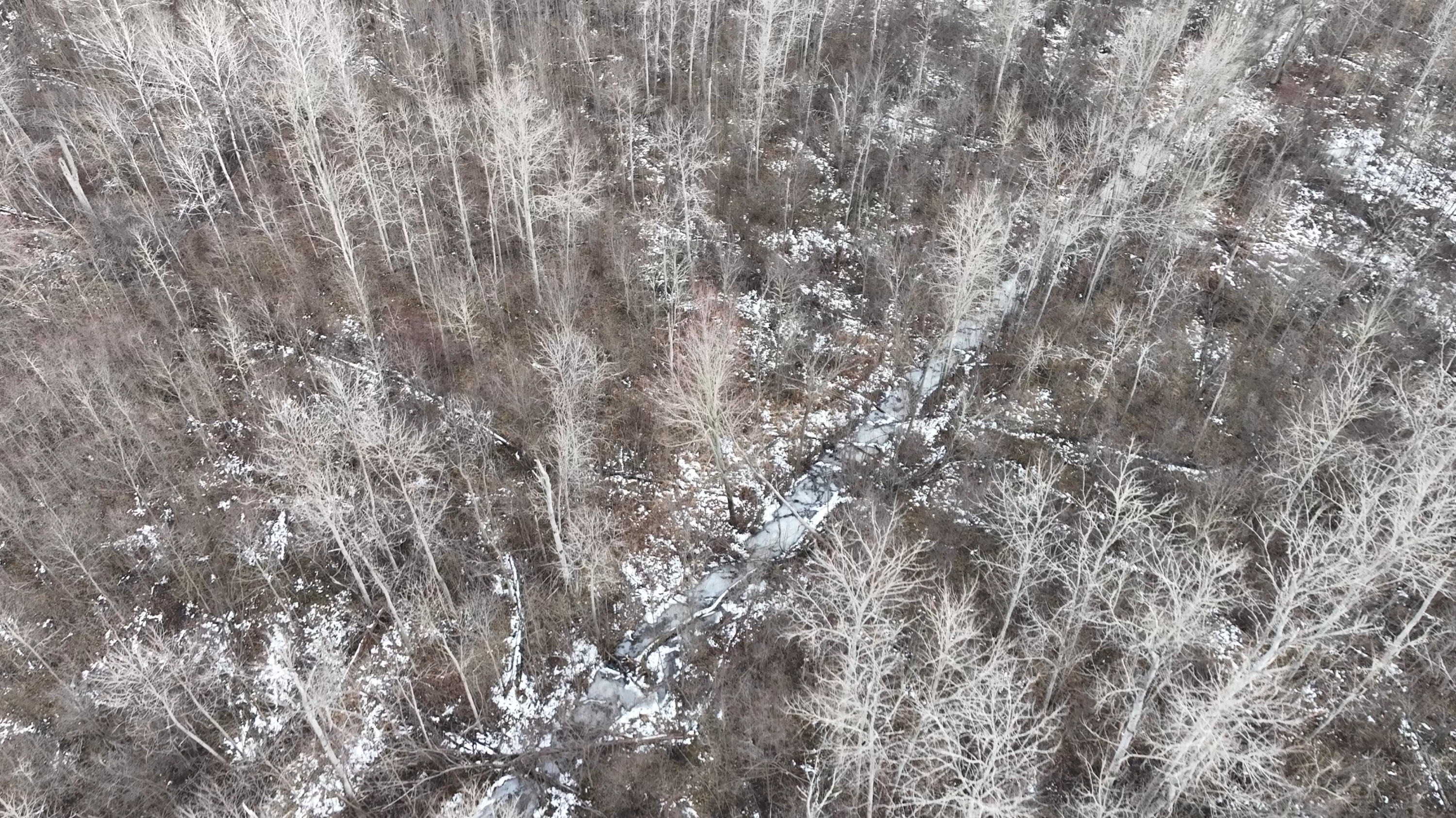 Lot 2 Funk Road Hillman, MI 49746 - Photo 13 of 16 Gallery Image 13