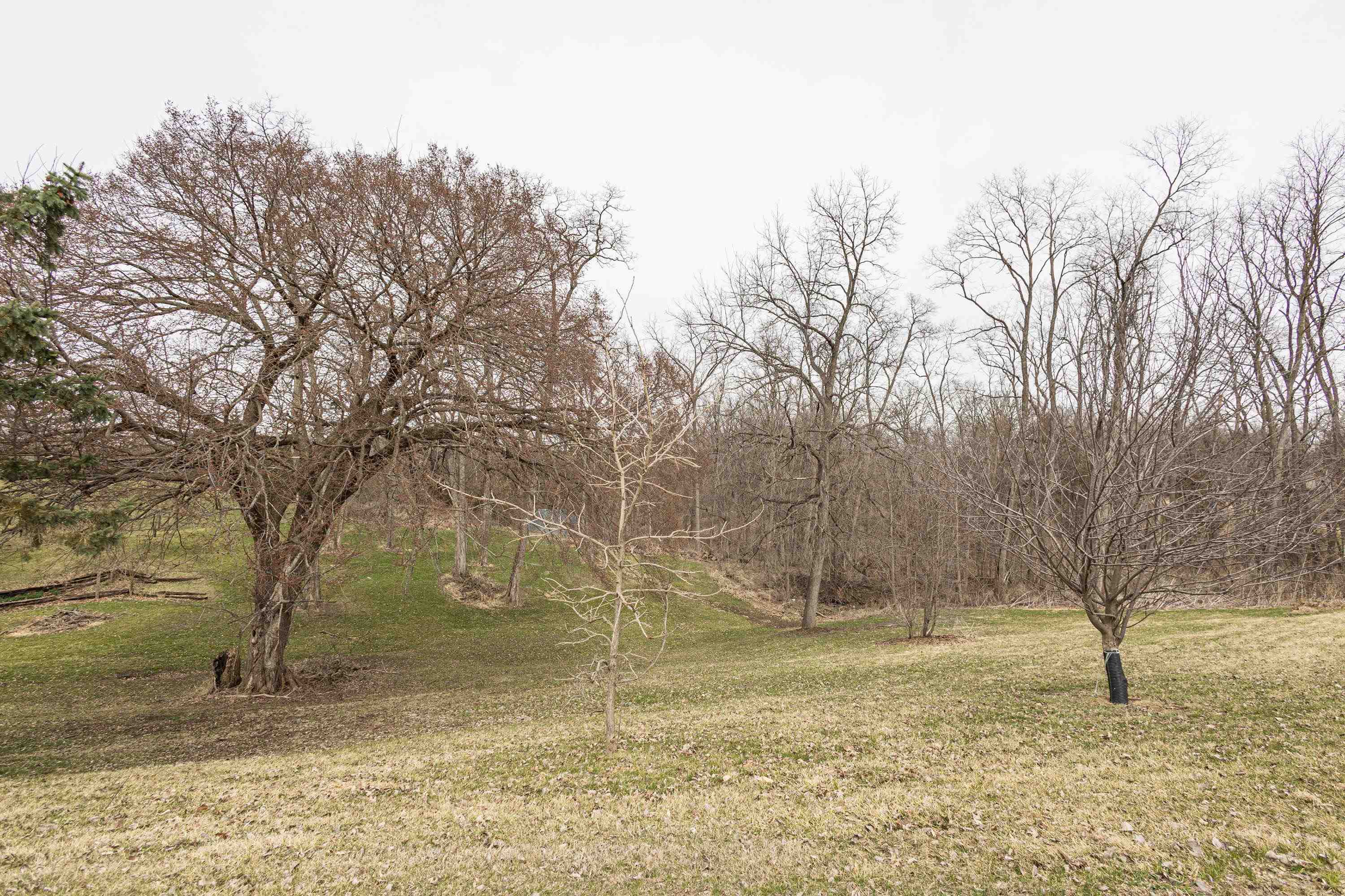 13800 West Valley Road East Dubuque, IL 61025 - Photo 37 of 43