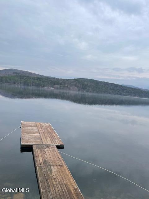 2018 South Shore Road Day, NY 12835 - Photo 7 of 64 231a285c-c098-48ae-833b-89980b3b8274