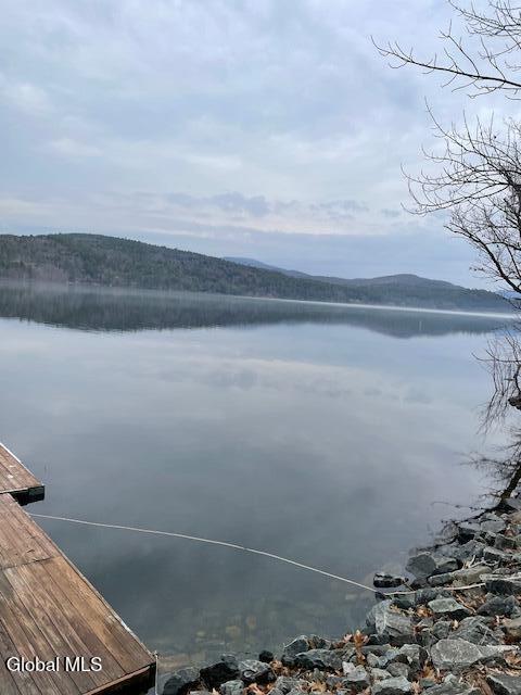 2018 South Shore Road Day, NY 12835 - Photo 8 of 64 a46aec1c-3216-4cd9-87df-e9b561b92816