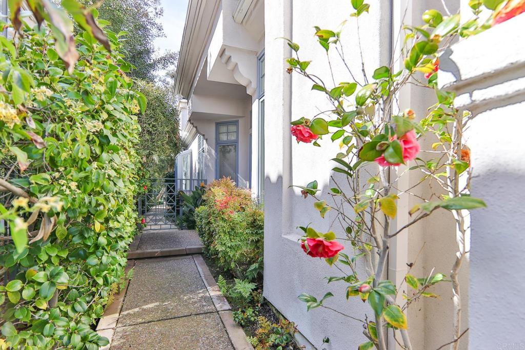 7163 Tern Place Carlsbad, CA 92011 - Photo 2 of 48 a picture of flowers