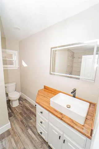 a bathroom with a sink and a toilet