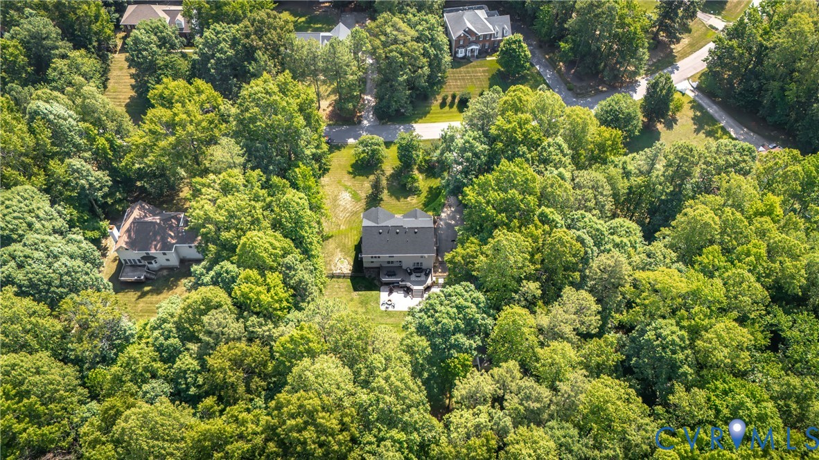 13331 Walke Pointe Way Chesterfield, VA 23832 - Photo 47 of 55