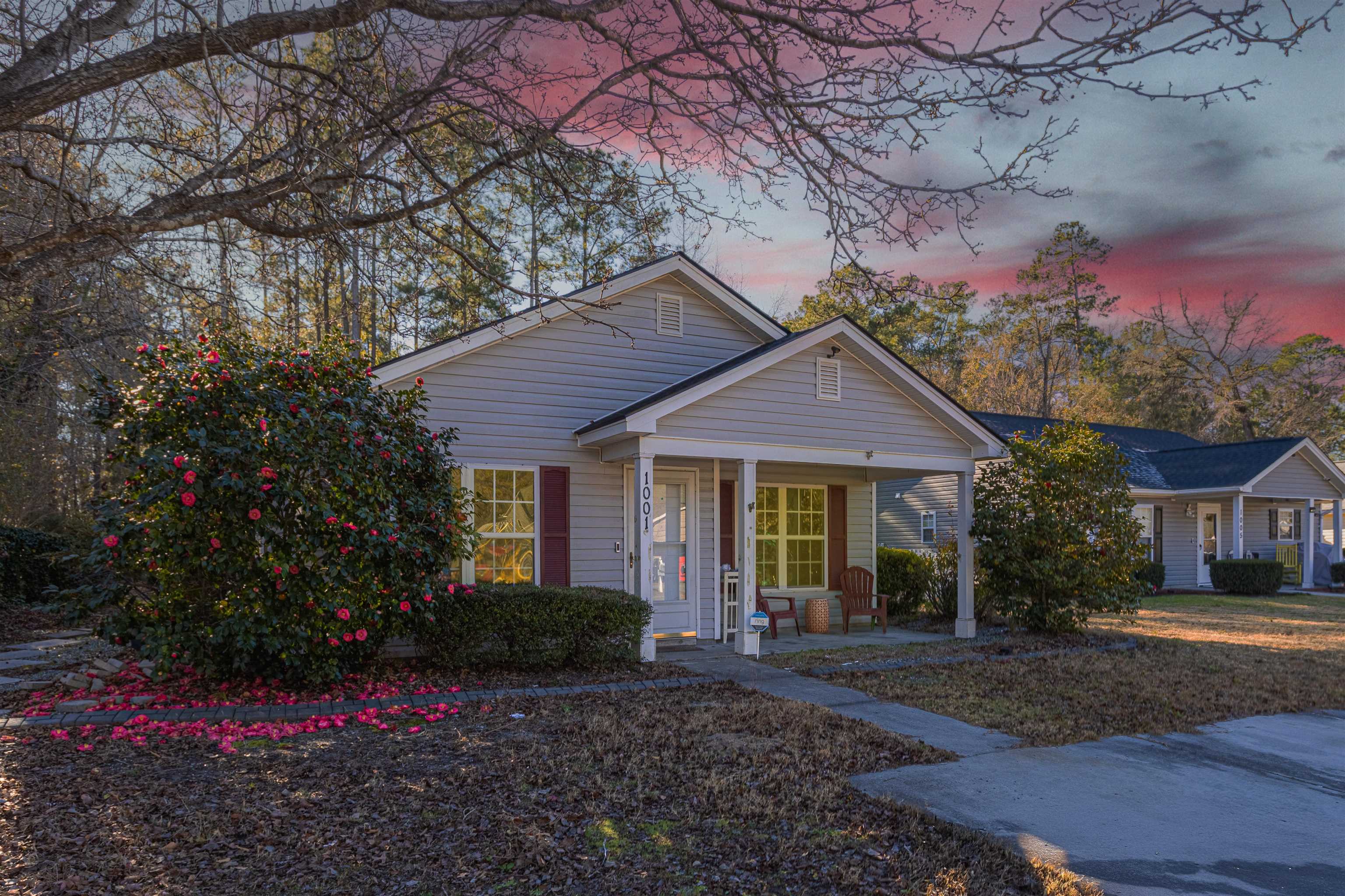 1001 Mistletoe Court Myrtle Beach, SC 29579 - Photo 28 of 28 View of yard