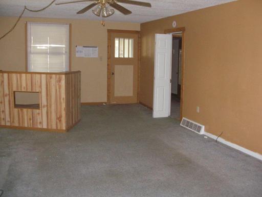 129 West Devlin Street Spring Valley, IL 61362 - Photo 3 of 7