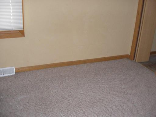 129 West Devlin Street Spring Valley, IL 61362 - Photo 6 of 7
