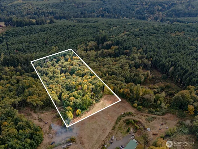 a view of a yard with a wooden bench