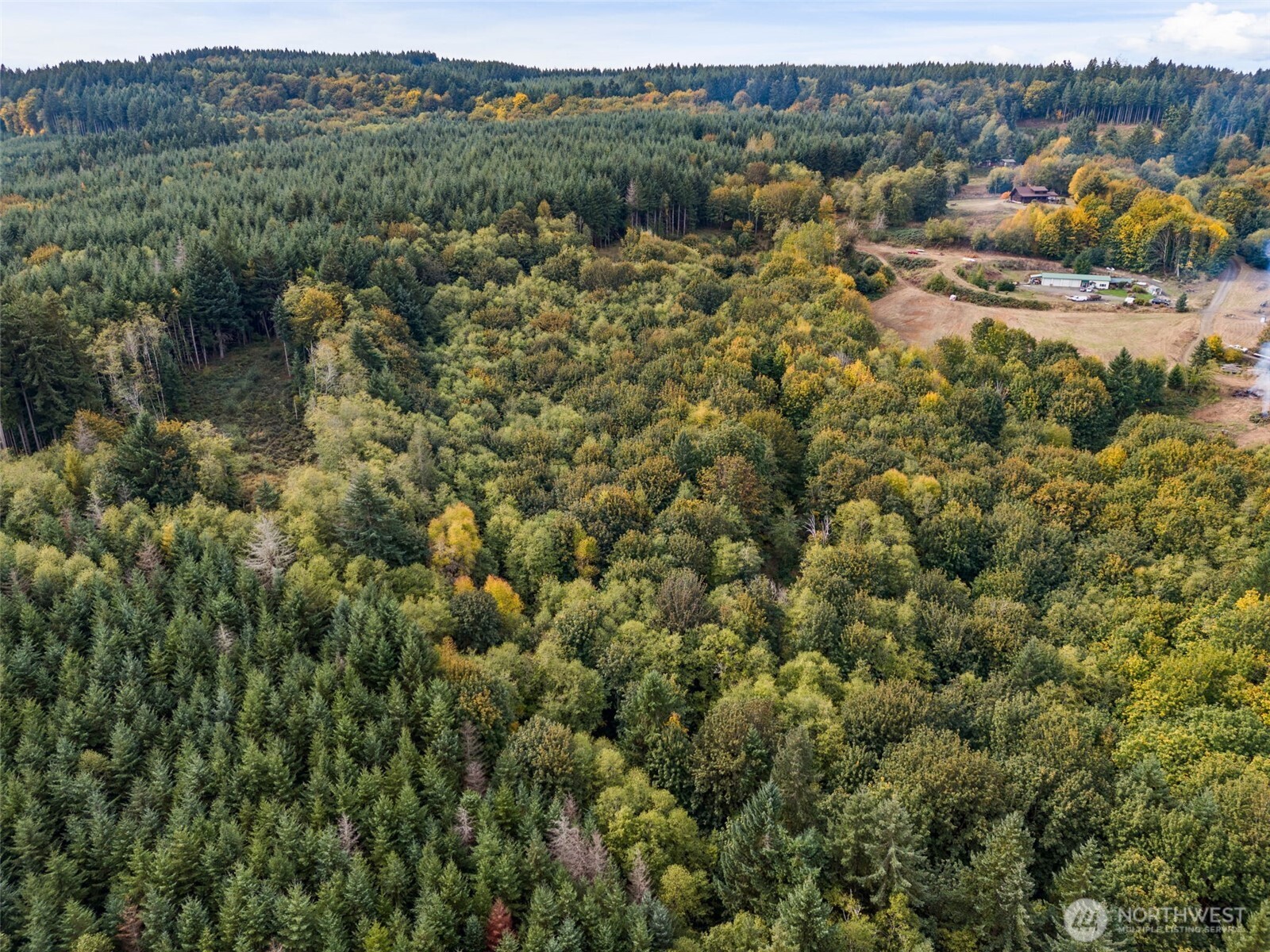 251-48 Crego Hill Road Chehalis, WA 98532 - Photo 6 of 8 a view of a houses with a lush green hillside