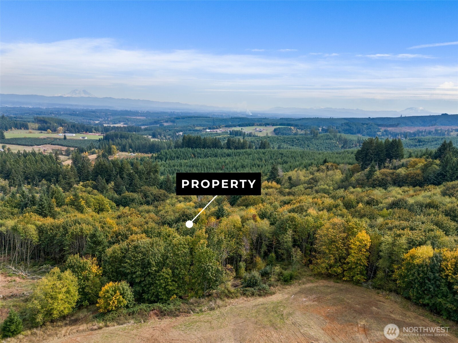 251-48 Crego Hill Road Chehalis, WA 98532 - Photo 8 of 8 a view of a field with an ocean view
