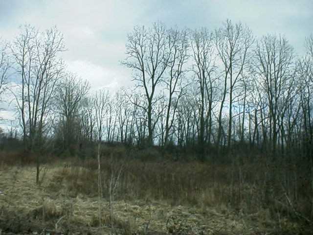 0 Wilson Road Marion, OH 43302 - Photo 1 of 1