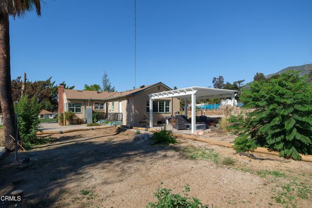 a view of backyard with large trees and a potted plant