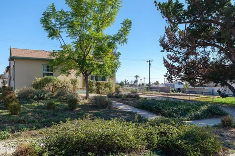 a view of backyard with fountain and large trees