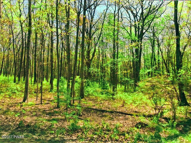 110 Timber Ridge Drive Shohola, PA 18458 - Photo 1 of 5 Timber Ridge