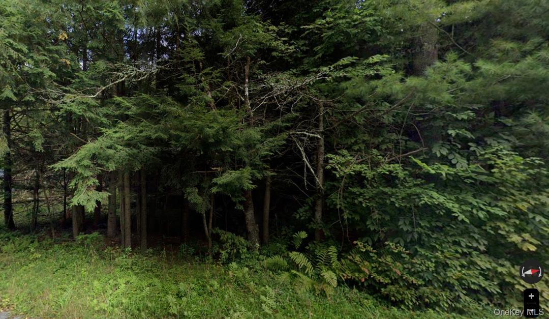 191 Elm Hollow Road Livingston Manor, NY 12758 - Photo 1 of 2 a view of outdoor space and deck