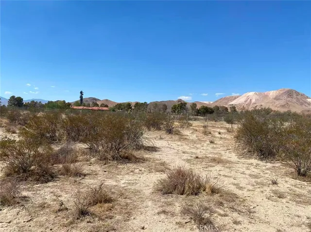 a view of a dry yard with mountains in the background