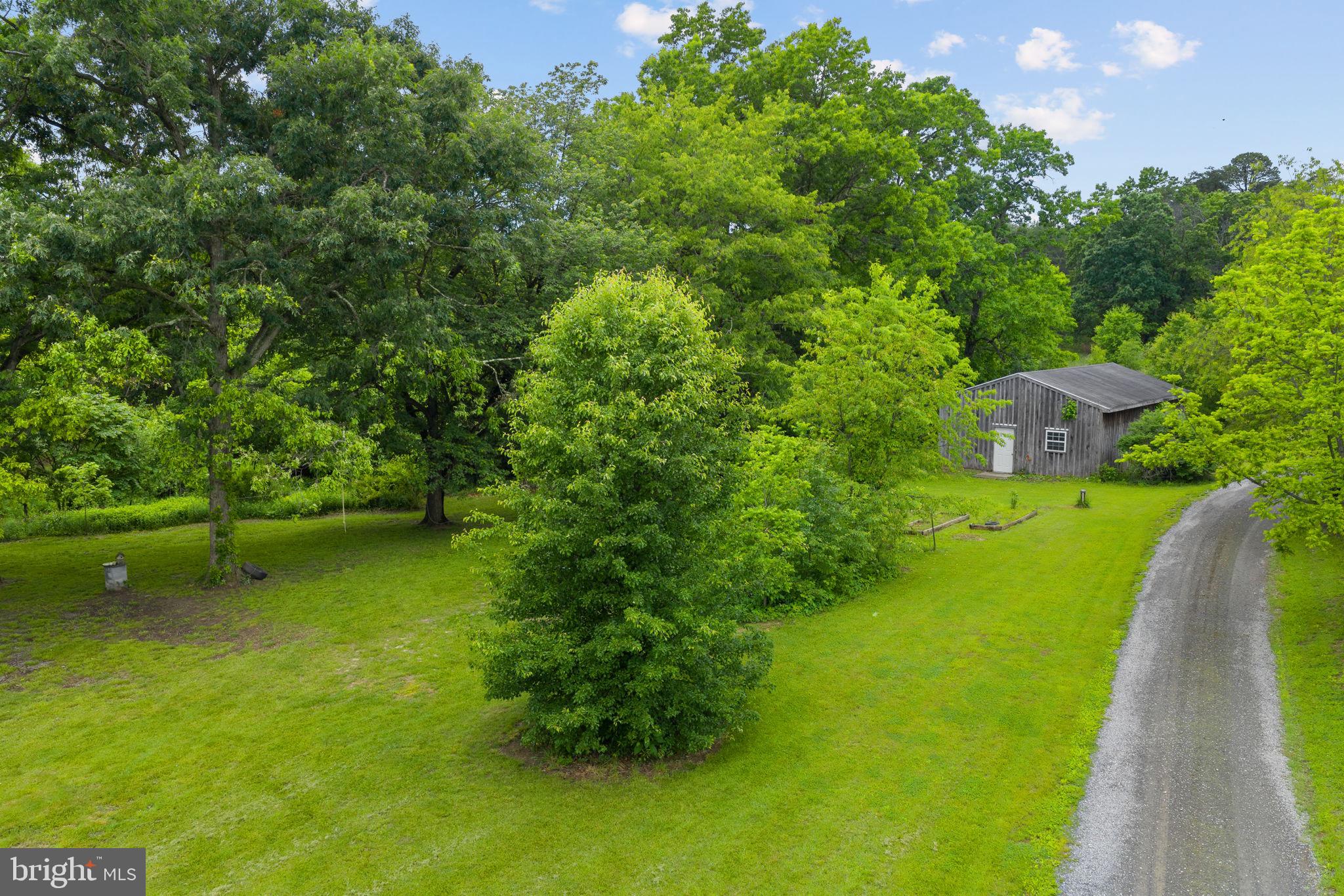 669 Dicks Hollow Road Winchester, VA 22603 - Photo 37 of 51 Gallery Image 37
