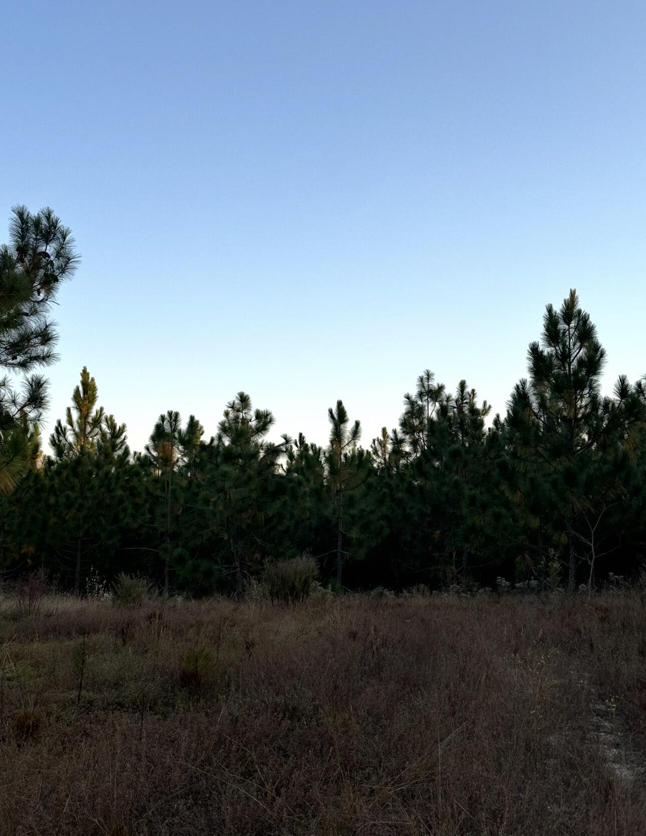 Lot 24 Snipes Pond Road Aiken, SC 29805 - Photo 1 of 1 Gallery Image 1