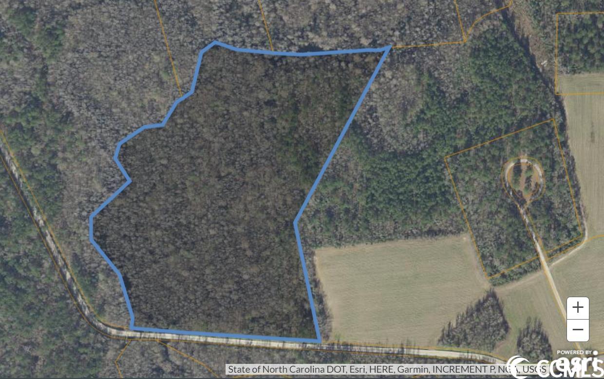 160 Hagan Road Loris, SC 29569 - Photo 2 of 9 Gallery Image 2